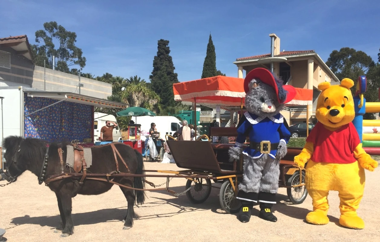 Calèche tirée par un poney