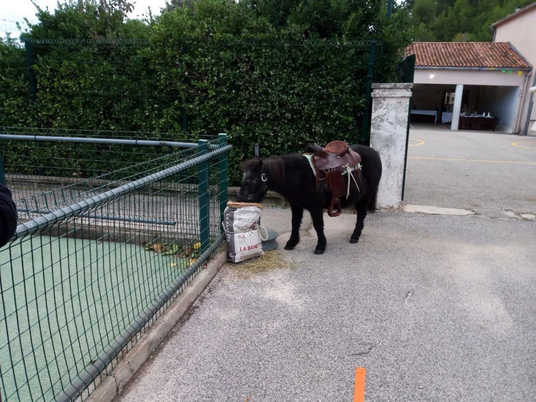 Poney devant une école