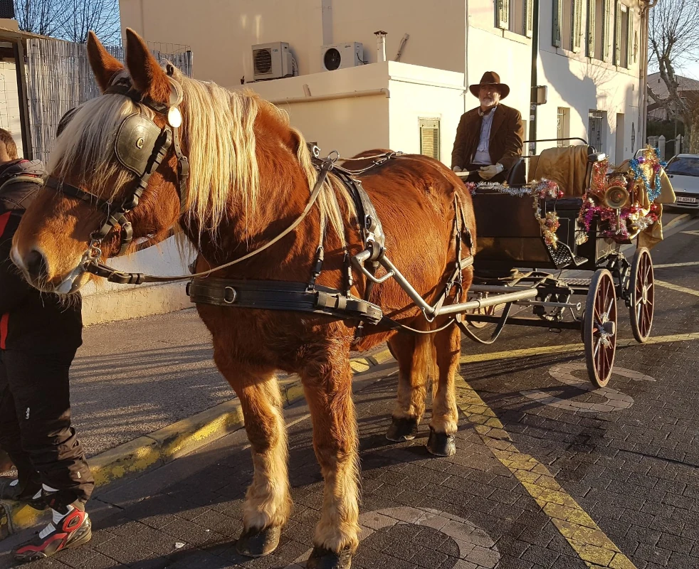 Cheval attelé à une calèche décorée de guirlandes de Noël