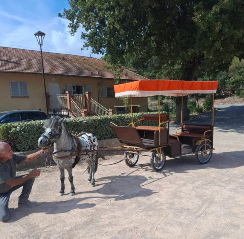Poney attelé à une calèche à capote orange, promenade d'enfants