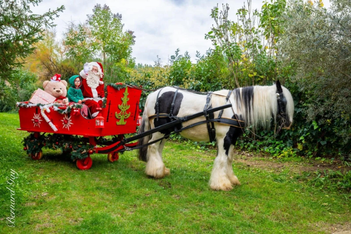 Traîneau rouge du Père Noël tiré par un cheval pie dans un jardin