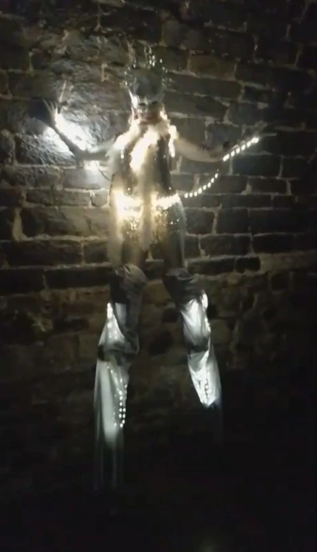 Échassière lumineuse en costume à guirlandes LED, déambulation de nuit