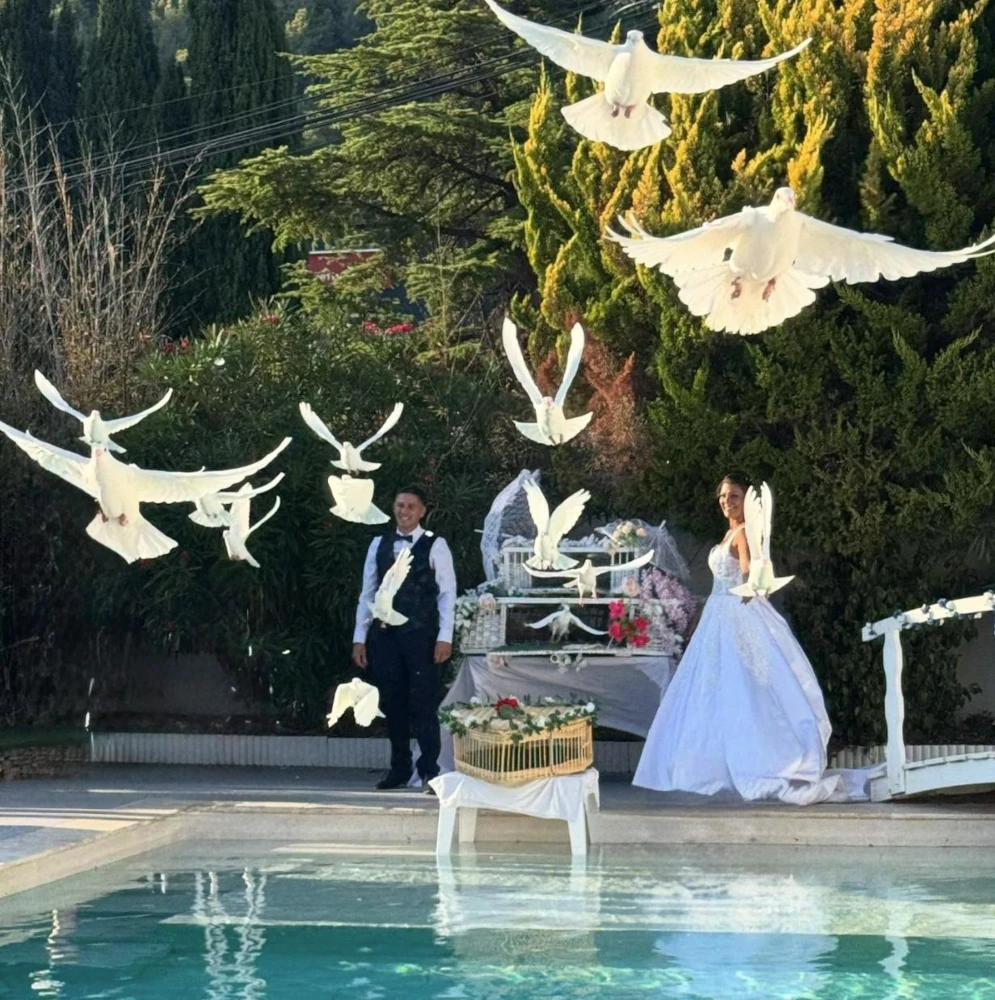 Lâcher de colombes au bord d'une piscine