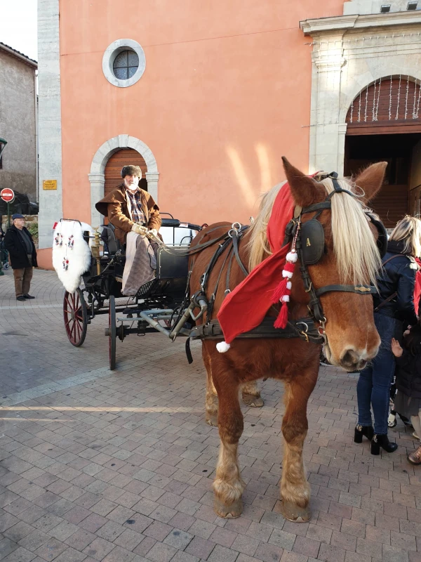 Cheval de trait et calèche avec cocher sur une place de village