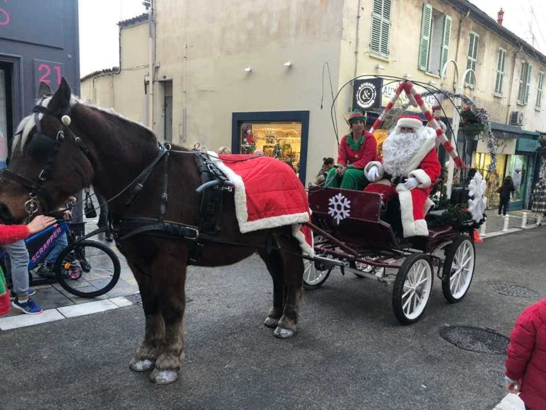 Père Noël en calèche tirée par un cheval, rue commerçante