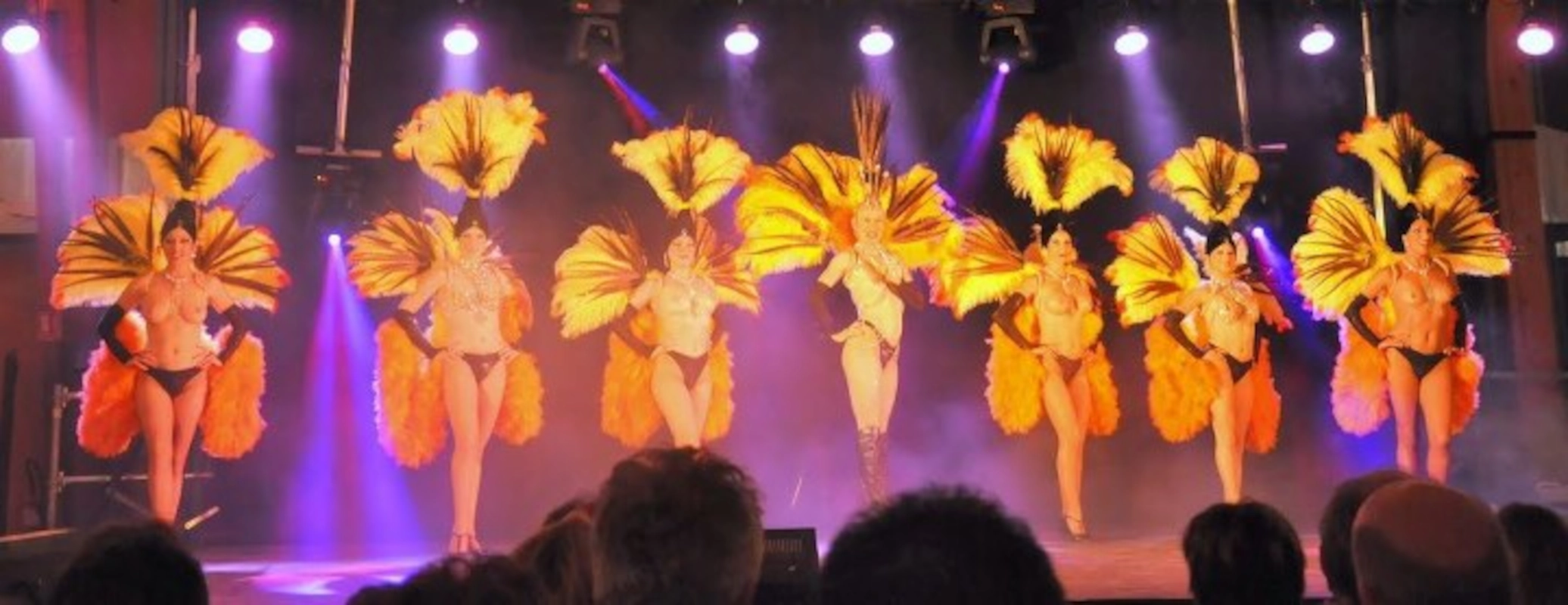 Revue cabaret, costumes à plumes