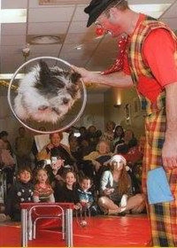 Clown magicien avec un lapin, devant un public d'enfants