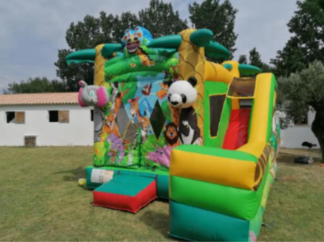 Structure gonflable « animaux du monde » avec toboggan